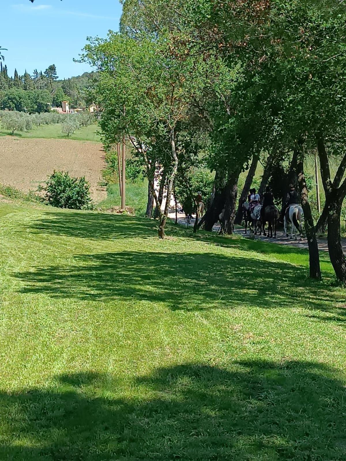Apartamento La Casa Dei Breton Magione Exterior foto